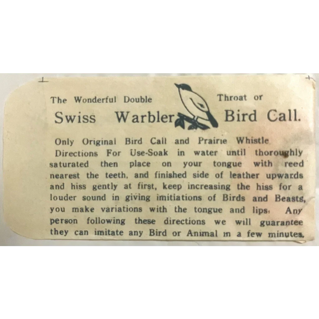 Vintage 1950s Swiss Warbler Bird Call Brings Nature's Melody Home