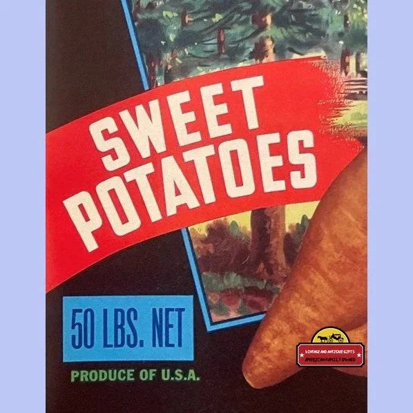Rare 1950s Pineywoods Sweet Potato Crate Label from Texas