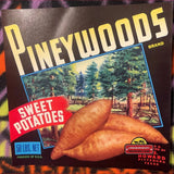 Rare 1950s Pineywoods Sweet Potato Crate Label from Texas