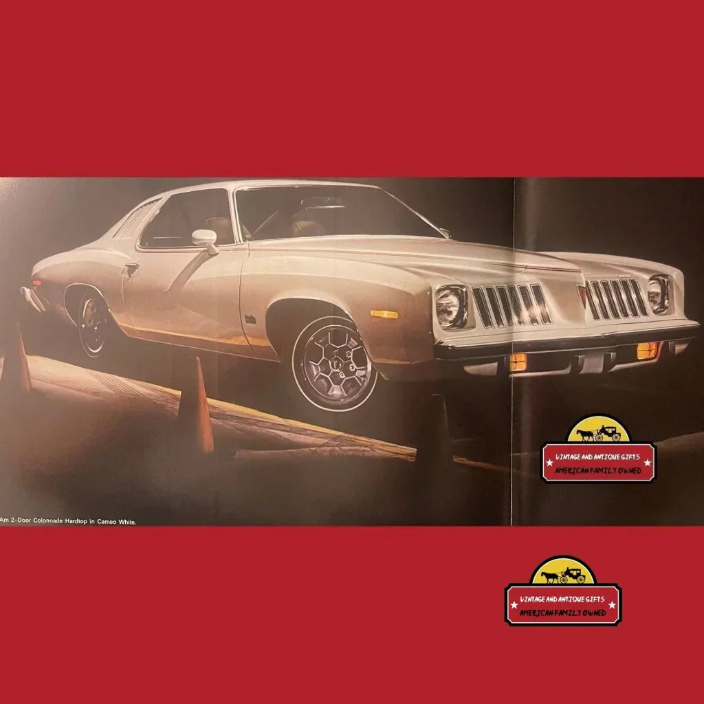 Vintage 1974 Pontiac Grand Am Dealer Brochure, Pontiac, MI, USA Icon, RIP 2010!