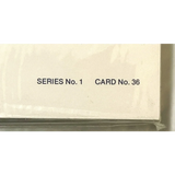 Rare 1980s Limited Edition 1969 NY Mets Postcard Set Unearthed