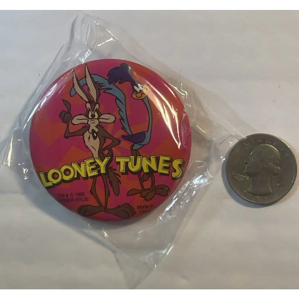 Rare 1995 Roadrunner & Wile E Coyote Looney Tunes Pin Discovered