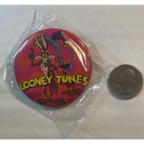 Rare 1995 Roadrunner & Wile E Coyote Looney Tunes Pin Discovered