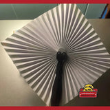 Vintage 1998 Tampa Bay Rays MLB Folding Fan Collectible