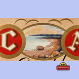 Rare 1930s C A Sparkling Beverages Antique Vintage Label