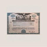 Vintage Teal Pan Am World Airways Stock Certificate Soars Again
