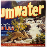 Vintage Tumwater Apple Label from Cashmere Fruit Exchange