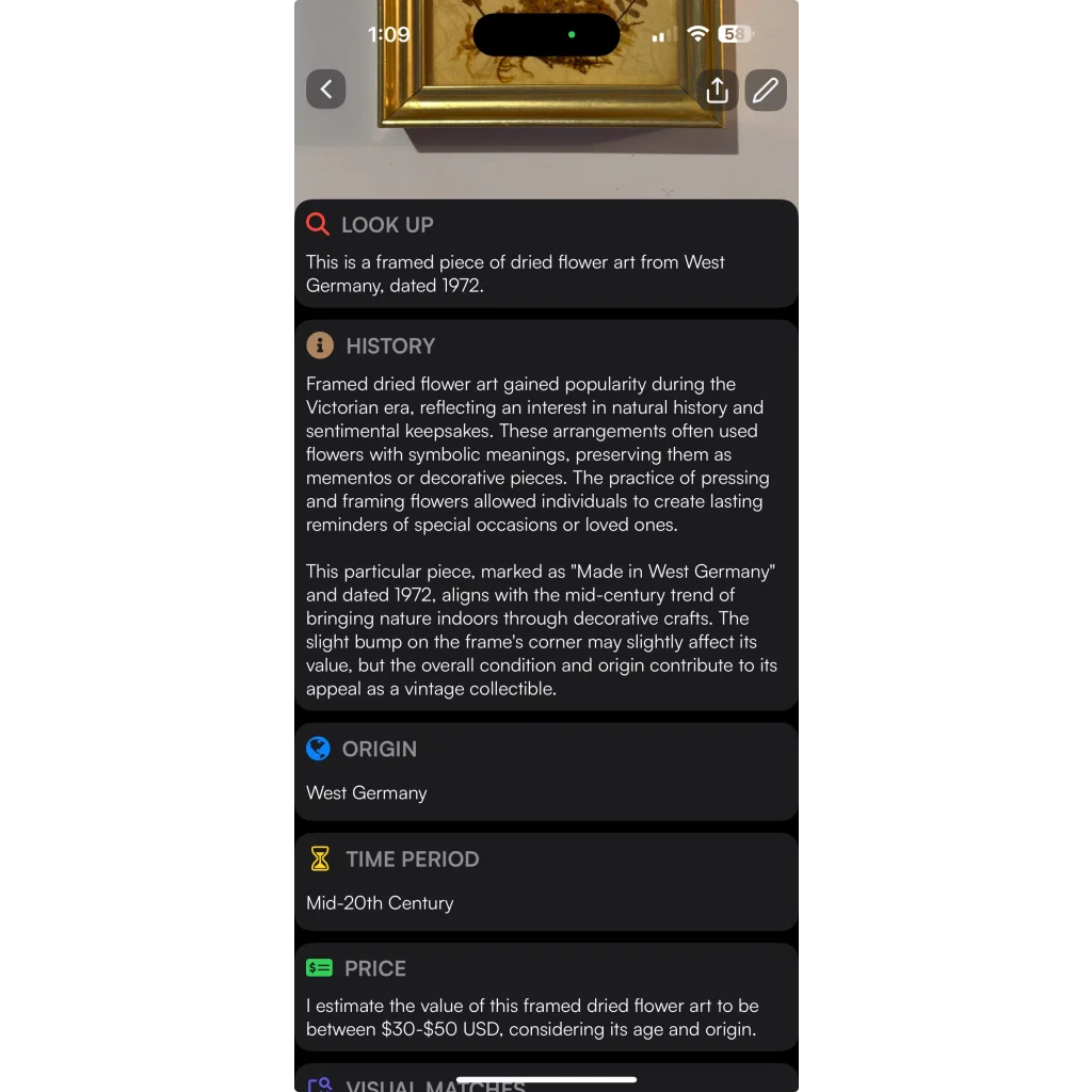 Vintage West Germany Dried Flower Art 1972 Framed Botanical Beauty