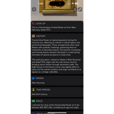 Vintage West Germany Dried Flower Art 1972 Framed Botanical Beauty