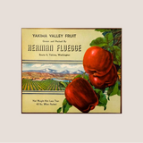 Vintage Yakima Valley Fruit Label Showcases Herman Fluegge's Legacy