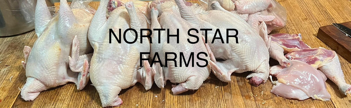 White American Bresse HATCHING EGGS by the Dozen (12) - "Irwin's Eggs!" by North Star Bresse