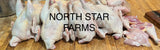 White American Bresse HATCHING EGGS by the Dozen (12) - "Irwin's Eggs!" by North Star Bresse
