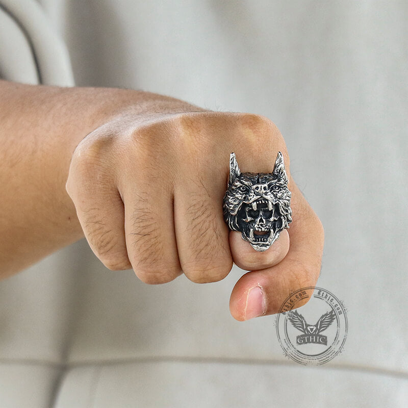 Anillo de calavera de acero inoxidable de Wolf Warrior