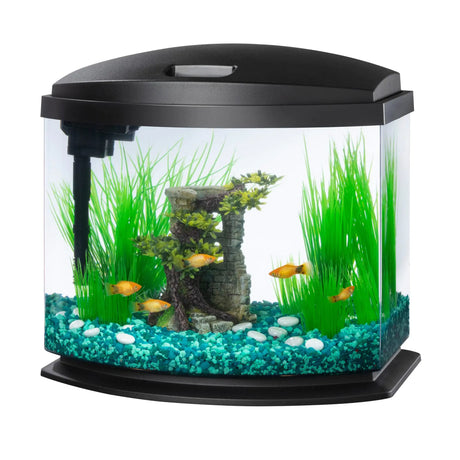 Aqueon 00800201: Aquarium Kit Mini Bow Led Blk 5G - Lootquake